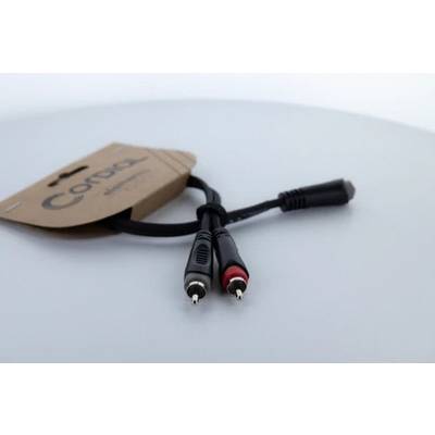 Un câble audio avec deux fiches RCA et une fiche jack, fixé sur une étiquette en carton portant l'inscription 'Cordial'.