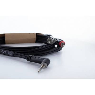 Câble audio noir avec une fiche jack de 3,5 mm et deux fiches RCA, l'une rouge et l'autre blanche, sur un fond clair.