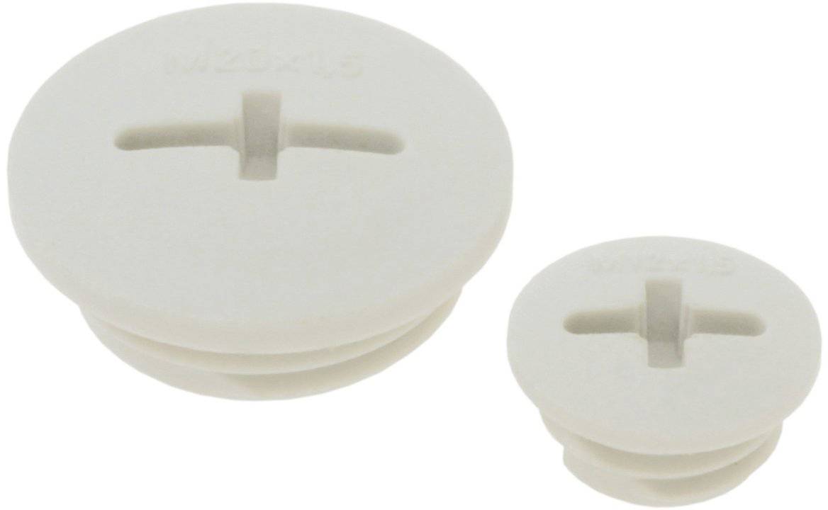 Deux vis de fermeture en plastique blanc avec fente, différence de taille visible.