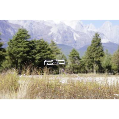 Un drone survole une prairie avec de l'herbe sauvage et des fleurs, des arbres et des montagnes en arrière-plan.