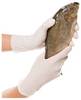 Franz Mensch Hygonorm Allfood Safe FM1108_03 250 pc(s) Nitrile Gants à usage unique Taille: L