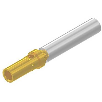 Connecteur métallique composé d'une partie jaune et d'une partie argentée, montrant un composant pour connexion électrique.