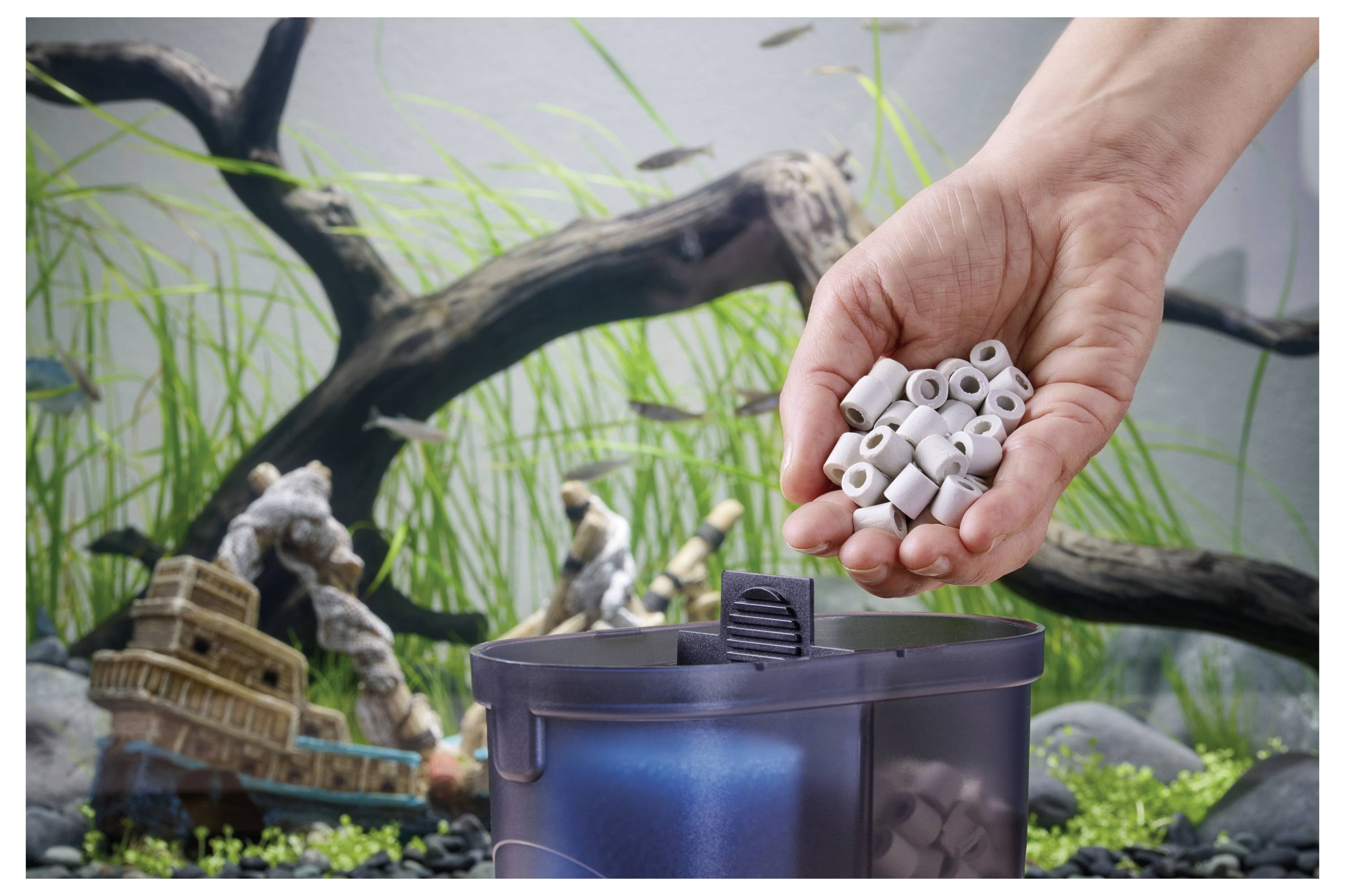 Un main place un média filtrant en céramique dans un filtre d'aquarium, dans un décor d'aquarium avec des plantes, de petits poissons et des éléments décoratifs.