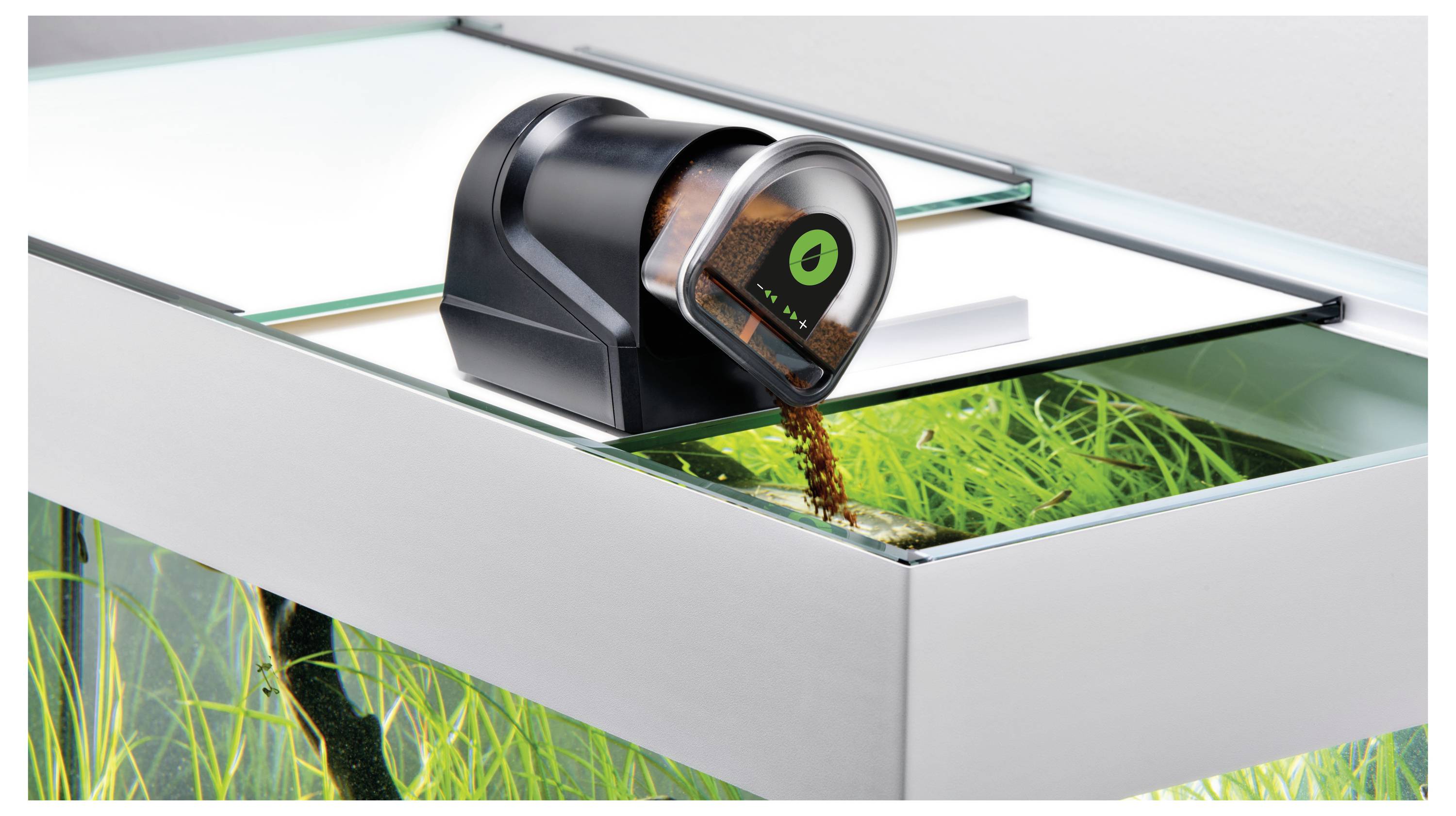 Distributeur automatique de nourriture pour poissons sur un aquarium en verre, distribuant de la nourriture. L'aquarium contient des plantes aquatiques et présente un design sobre et moderne.