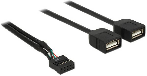 Delock Câble USB  USB 2.0 Prise USB sur poteau, USB-A femelle, USB-A femelle 0.40 m noir avec barrette à broche 83823