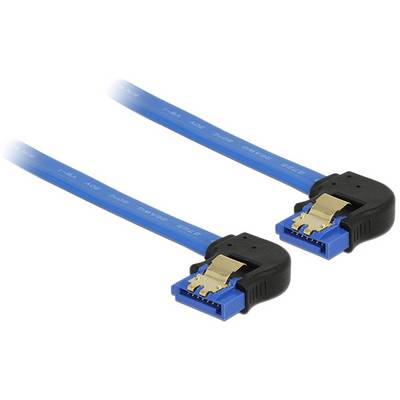 Delock disque dur Câble de raccordement 30 cm noir, bleu-0