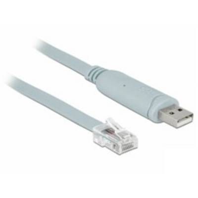 Un câble gris avec une fiche USB-A d'un côté et une fiche réseau RJ45 de l'autre côté.