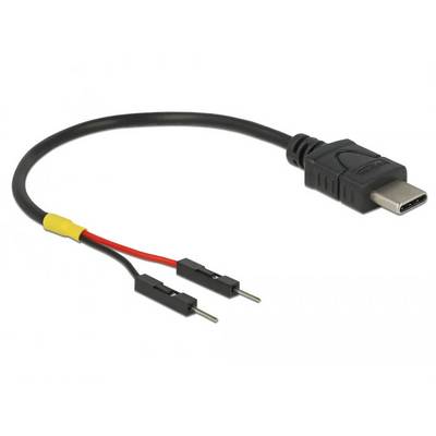 Câble avec connecteur USB-C d'un côté et deux connecteurs Dupont de l'autre.