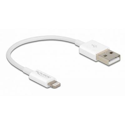 Un câble de charge blanc avec une fiche USB d'un côté et une fiche Lightning de l'autre, adapté aux appareils Apple.
