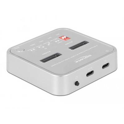 Delock 64138 USB-C®, ExpressCard Station d'accueil pour disque dur avec hub USB-0