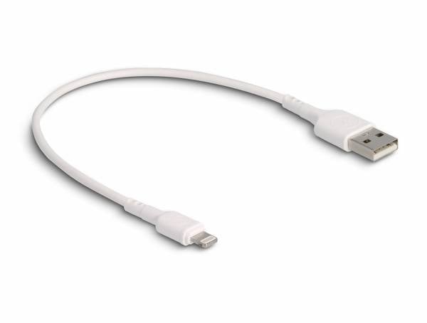 Delock Câble de charge USB USB 2.0 Connecteur Lightning , USB-A mâle 0.30 m blanc 87866