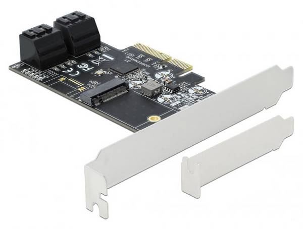 Delock 90396  Carte PCI-Express M.2, SATA PCIe