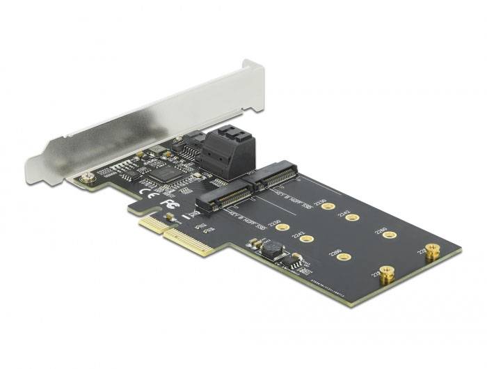 Delock 90499 Carte PCI-Express M.2, SATA PCIe-1