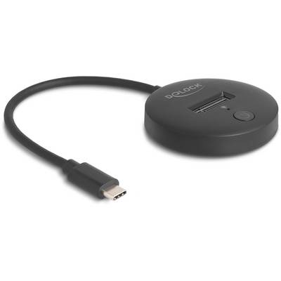 Delock 64254 USB-C®, M.2 Station d'accueil pour disque dur avec hub USB-0