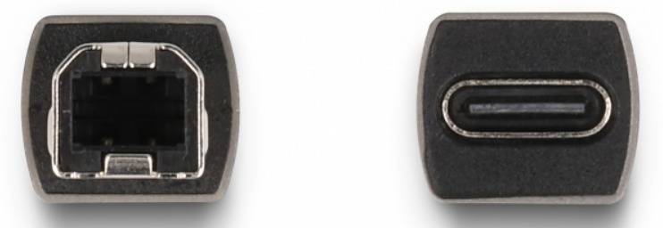 Deux types de connexion : Un connecteur USB-B carré à gauche et un connecteur USB-C ovale à droite.