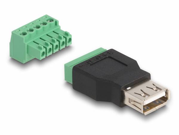 Delock USB 2.0 Adaptateur [1x USB 2.0 type A femelle - 1x prise femelle] 65973