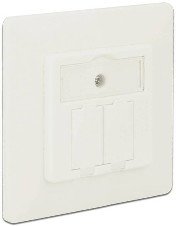 Delock Prise Snap-In insert non équipé 2 ports