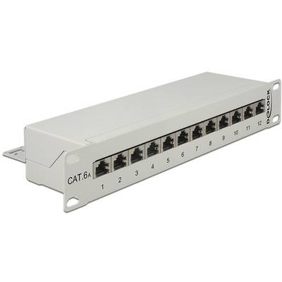 Delock 43308 Panneau de brassage 254 mm (10") CAT 6a 1 UH gris équipé-0