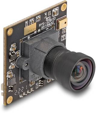 Delock 12074 12074 Module de caméra couleur CMOS Microphone intégré