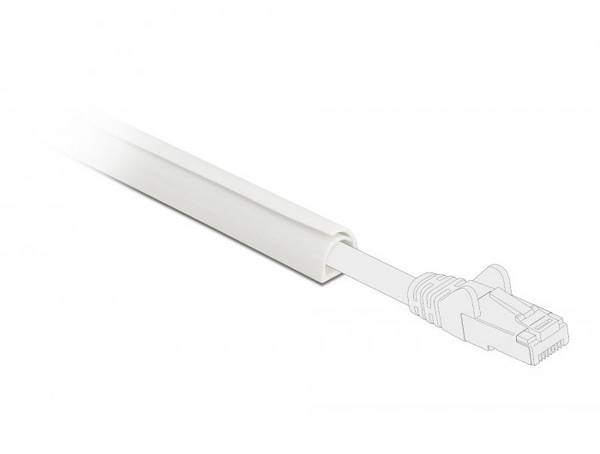 Delock Passe-câbles PVC blanc  (L x l x H) 1 m x 12 mm x 12 mm 1 pc(s)  20718