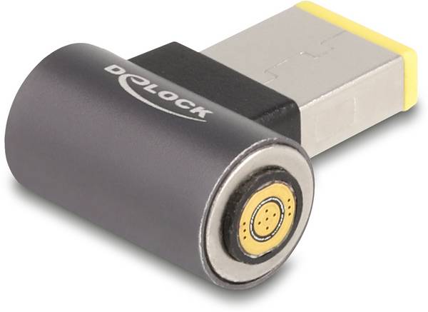 Delock série Adaptateur [1x connecteur creux DC - 1x raccordement magnétique] 0.004 m anthracite