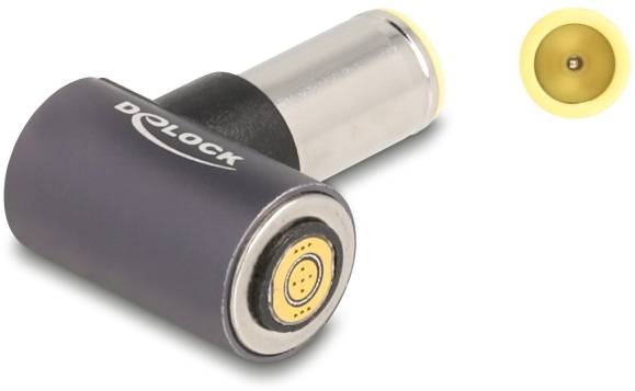 Delock série Adaptateur [1x connecteur creux DC - 1x raccordement magnétique] 0.005 m gris-1