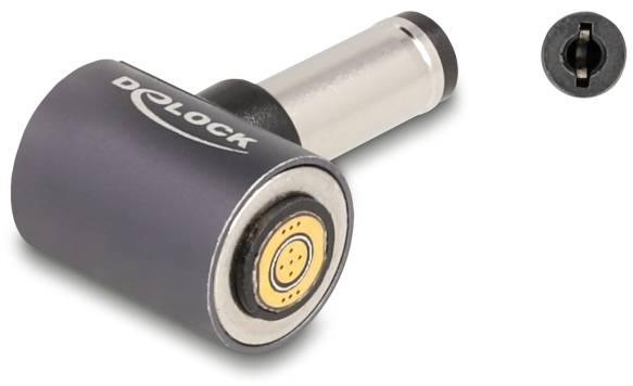 Delock série Adaptateur [1x connecteur creux DC - 1x raccordement magnétique] 0.003 m gris-0