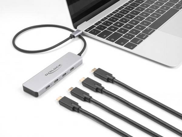 Delock 64231 Hub USB 4 ports USB-C® USB 3.2 Gen2 10 GBit/s avec fiche mâle USB-C gris 64231