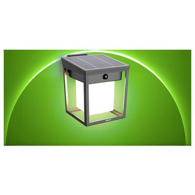 Une lanterne extérieure alimentée par énergie solaire avec un cadre noir et une lumière blanche brillante repose sur un fond vert vif.