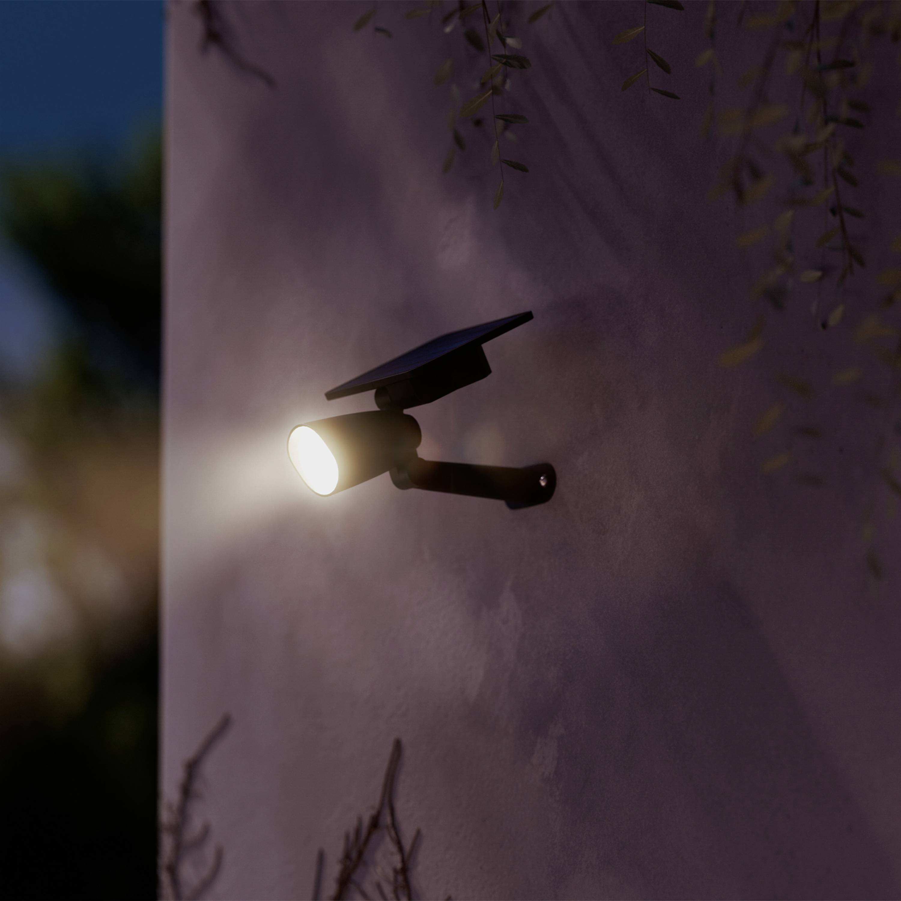 Un luminaire mural équipé d'un panneau solaire s'allume au crépuscule sur un mur de maison, entouré de plantes en arrière-plan.