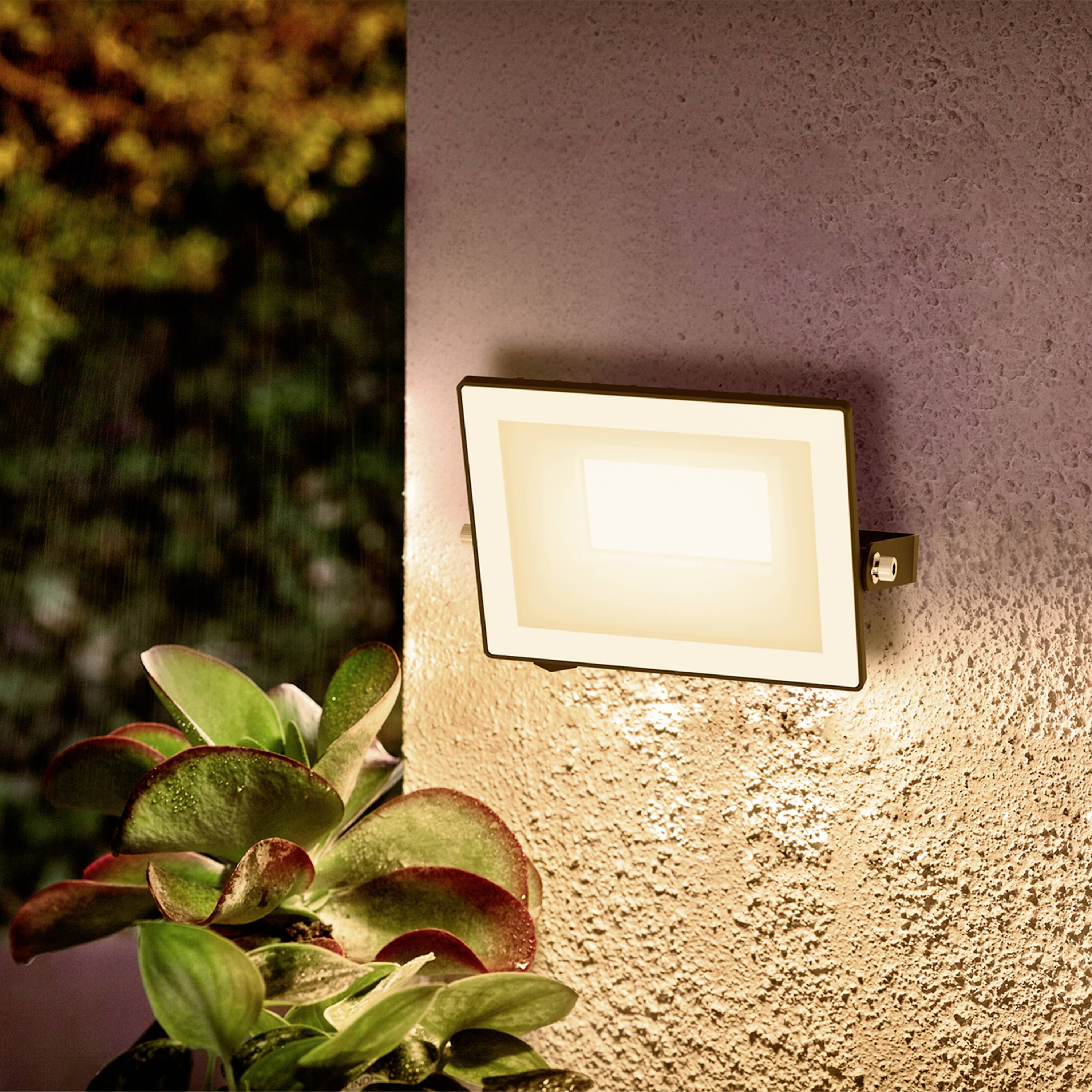 Espace extérieur avec une applique murale illuminée diffusant une lumière chaude. Des feuilles d'une plante sont visibles à gauche de l'image.