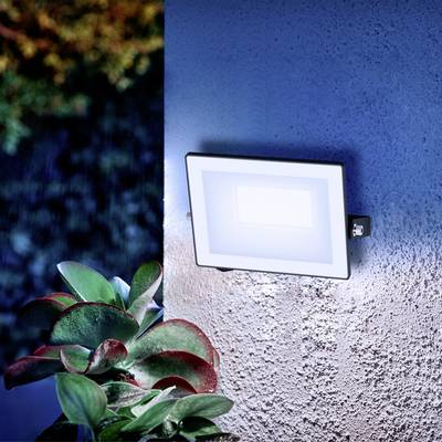 Une lampe extérieure rectangulaire éclaire un mur, à côté de quelques plantes aux larges feuilles vertes.