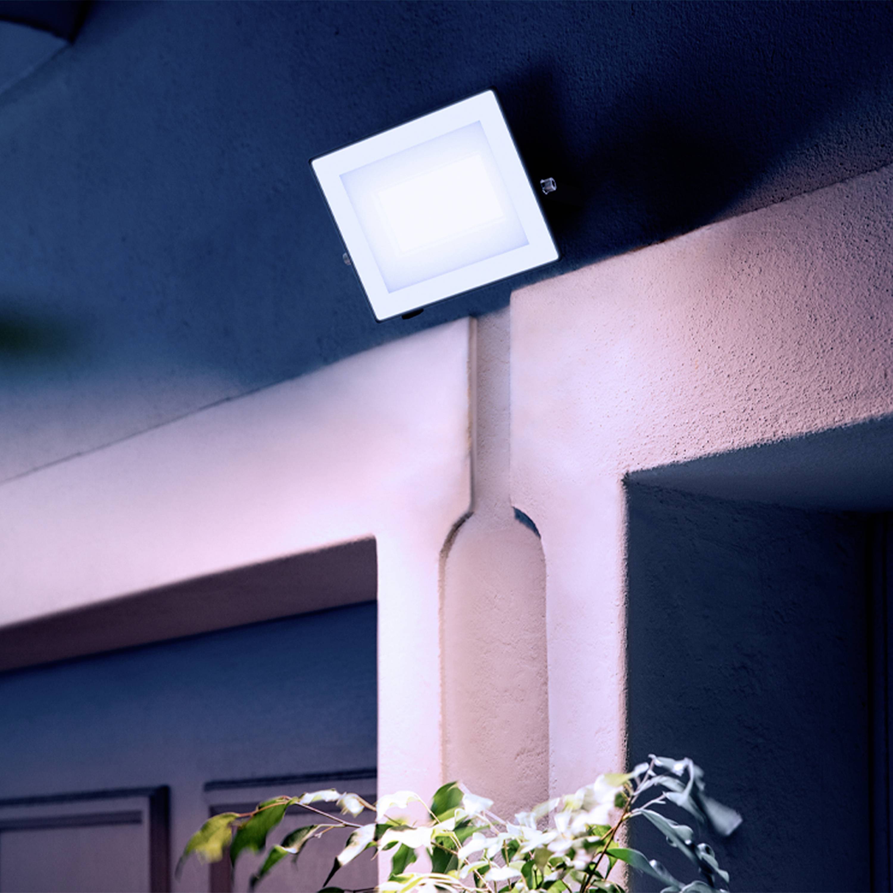 Un projecteur extérieur illumine l'angle d'un bâtiment moderne. Au premier plan, on peut voir les feuilles d'une plante.