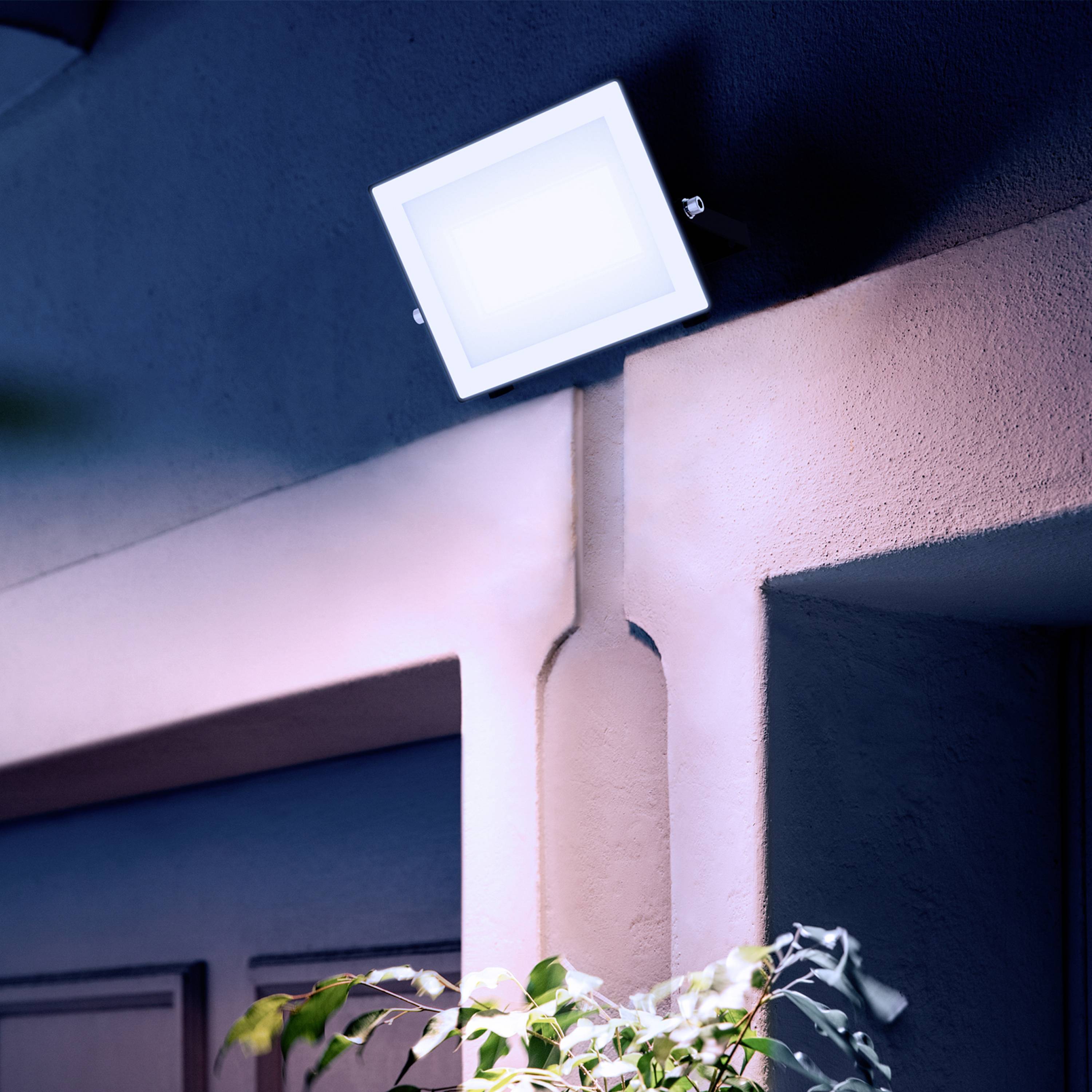 Une lampe blanche brille sur un mur éclairé en rose. En dessous, des feuilles de plantes sont visibles.