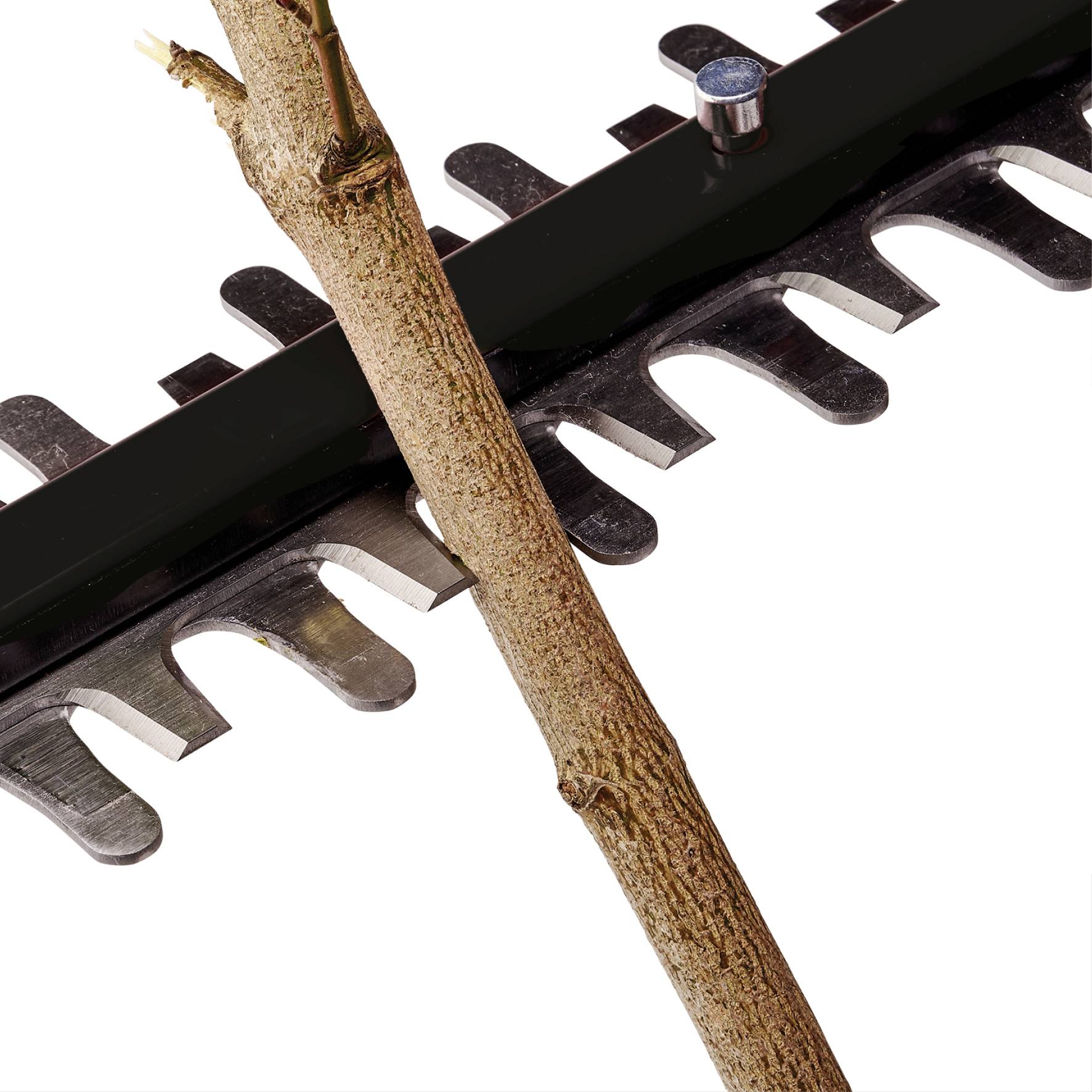 Une branche est coupée par un taille-haie. La lame se déplace sur la branche et la sépare nettement.