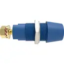 Schützinger DI SAB 9430 Au / BL Prise en saillie de sécurité droit Ø de la broche: 4 mm bleu 1 pc(s)