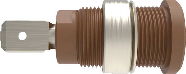 Schützinger DI SEB 7080 Ni / BR Prise encastrée de sécurité droit Ø de la broche: 4 mm marron 1 pc(s) Piece