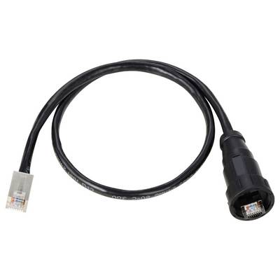Un câble réseau noir avec des connecteurs RJ-45 à chaque extrémité. Il est formé en une petite boucle.