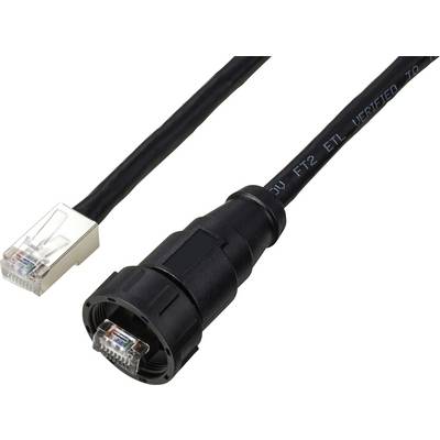 Deux câbles réseau : à gauche, une fiche RJ45 standard, à droite, une fiche robuste et étanche pour applications industrielles.