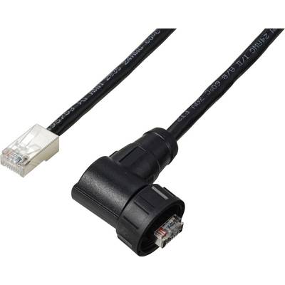 Un câble Ethernet noir avec un connecteur coudé d'un côté et un connecteur RJ45 transparent de l'autre.