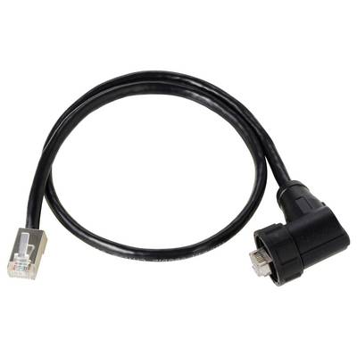 'Un câble Ethernet noir avec une fiche coudée et une fiche RJ45, adapté aux connexions réseau.'