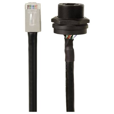 Un connecteur Ethernet et un connecteur avec des câbles exposés, montrés côte à côte. Les deux sont adaptés aux connexions de données.