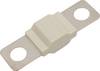 TRU COMPONENTS TC-13545892 Fusible 80 A 80 V/DC Contenu 10 pc(s) Bulk