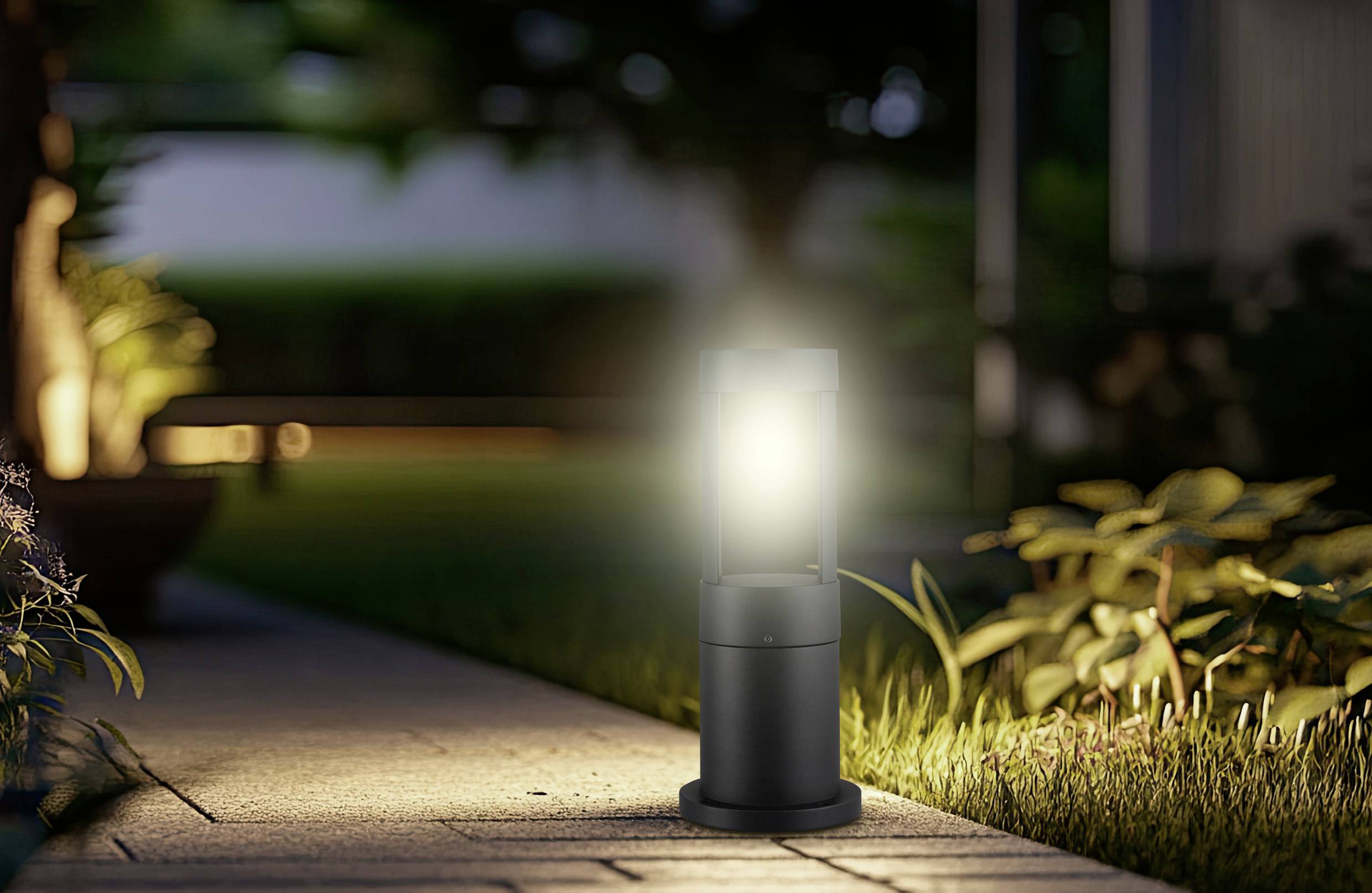 Un chemin lumineux éclairé dans un jardin en soirée, entouré d'herbe et de plantes, créant une atmosphère chaleureuse et accueillante.