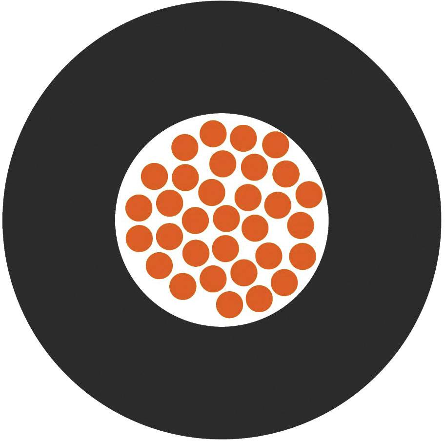 Cercle noir avec un centre blanc, contenant plusieurs petits cercles orange répartis à l'intérieur.