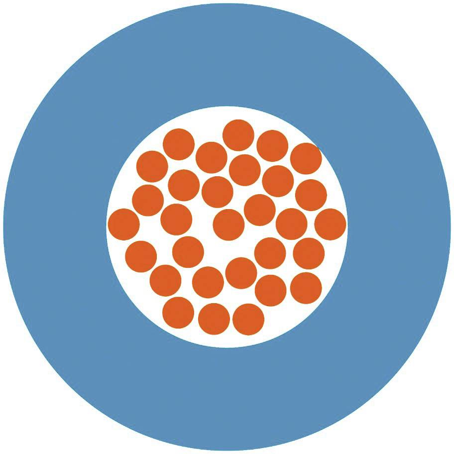 Un cercle bleu avec un cercle blanc plus grand au centre, rempli de plusieurs points orange répartis uniformément.