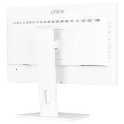 Un moniteur d'ordinateur blanc de la marque Iiyama, vu de dos. Le moniteur est posé sur un socle rectangulaire.