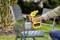 Une personne peint un chaise métallique en vert dans un jardin à l'aide d'un pistolet de peinture jaune.