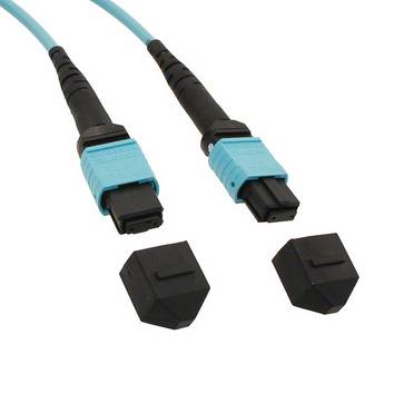 Molex 106284-1003 Câble de liaison      1 pc(s)