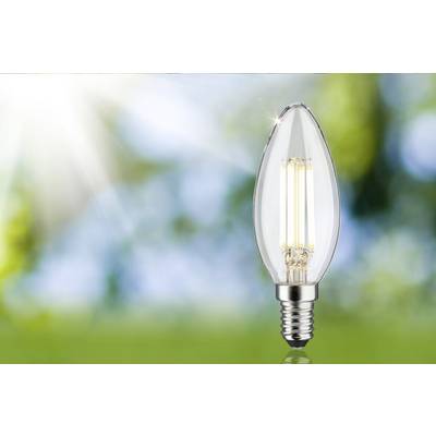 Une ampoule devant un arrière-plan vert flou, suggérant une journée ensoleillée. L'ampoule émet une lumière vive.